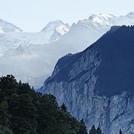Hotel Alpenrose - A Family Affair Since 1881 Wengen