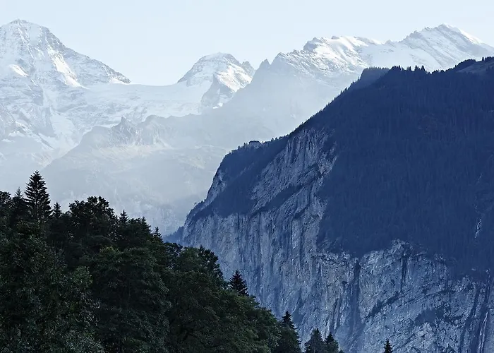 Hotel Alpenrose - A Family Affair Since 1881 Wengen